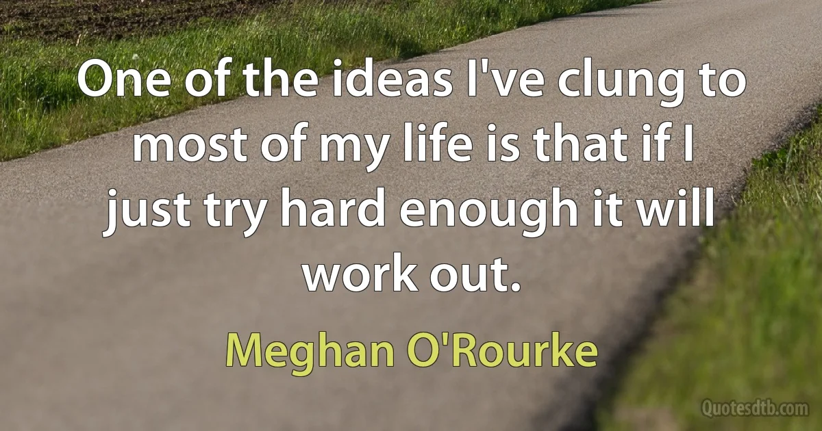 One of the ideas I've clung to most of my life is that if I just try hard enough it will work out. (Meghan O'Rourke)