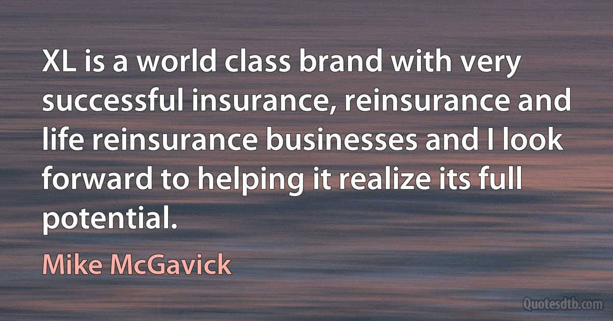 XL is a world class brand with very successful insurance, reinsurance and life reinsurance businesses and I look forward to helping it realize its full potential. (Mike McGavick)