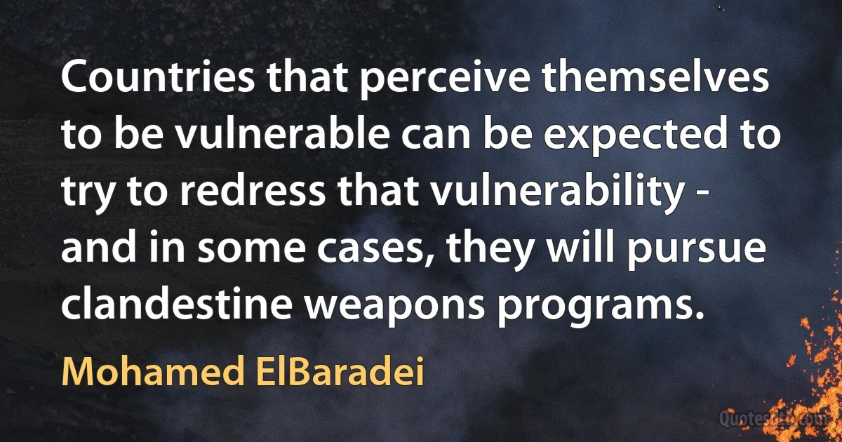 Countries that perceive themselves to be vulnerable can be expected to try to redress that vulnerability - and in some cases, they will pursue clandestine weapons programs. (Mohamed ElBaradei)