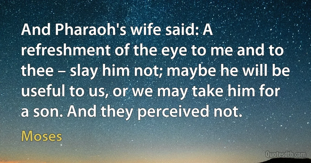 And Pharaoh's wife said: A refreshment of the eye to me and to thee – slay him not; maybe he will be useful to us, or we may take him for a son. And they perceived not. (Moses)