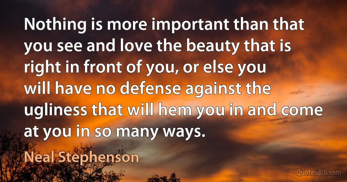 Nothing is more important than that you see and love the beauty that is right in front of you, or else you will have no defense against the ugliness that will hem you in and come at you in so many ways. (Neal Stephenson)