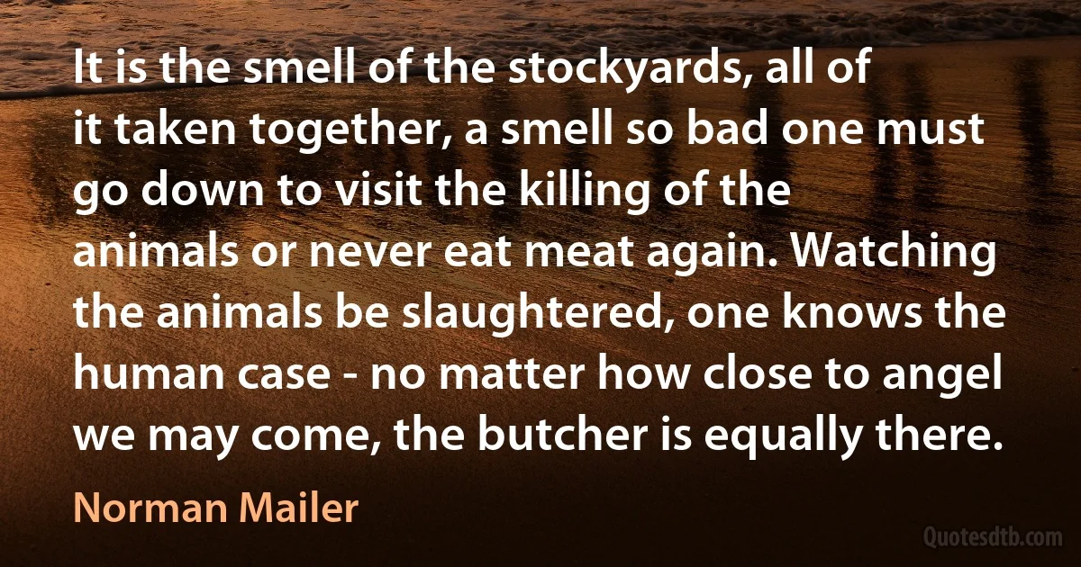 It is the smell of the stockyards, all of it taken together, a smell so bad one must go down to visit the killing of the animals or never eat meat again. Watching the animals be slaughtered, one knows the human case - no matter how close to angel we may come, the butcher is equally there. (Norman Mailer)