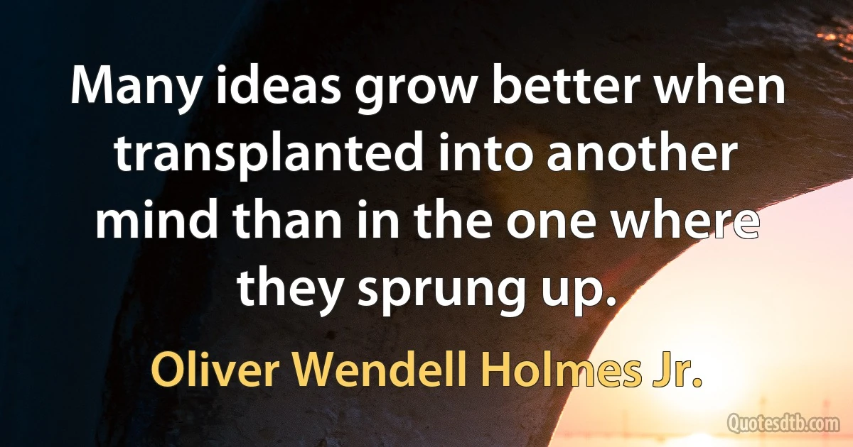 Many ideas grow better when transplanted into another mind than in the one where they sprung up. (Oliver Wendell Holmes Jr.)