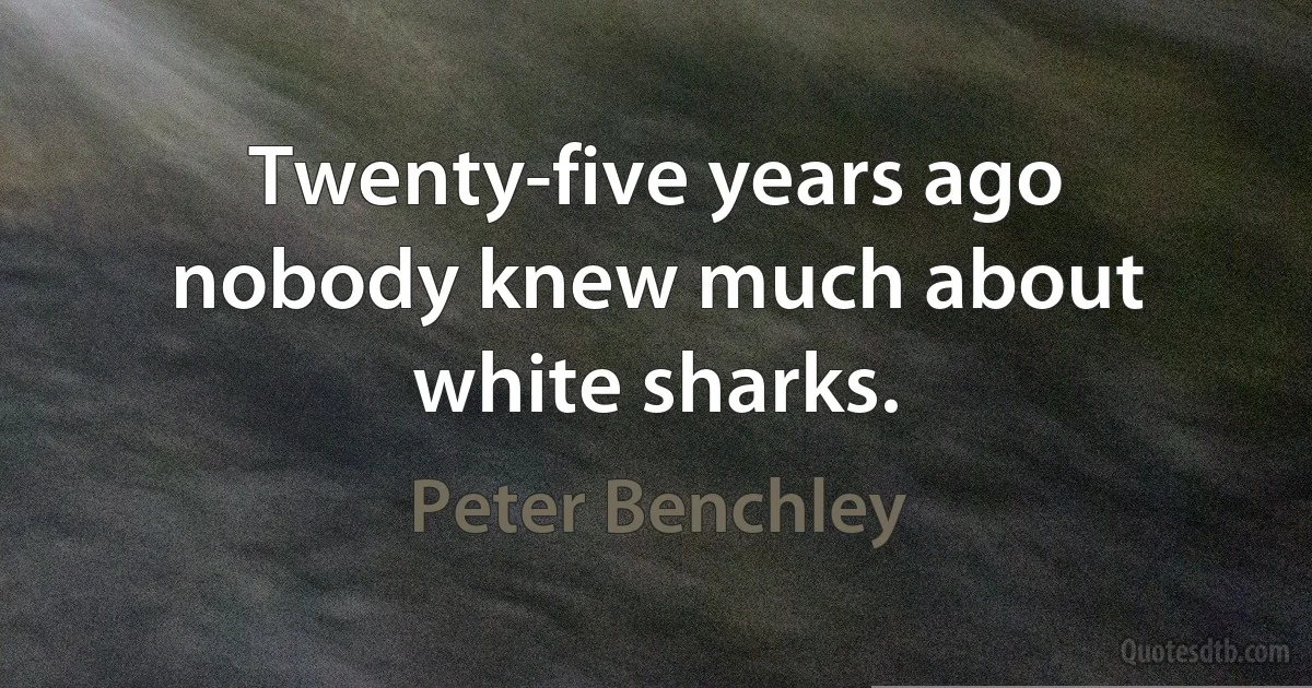 Twenty-five years ago nobody knew much about white sharks. (Peter Benchley)