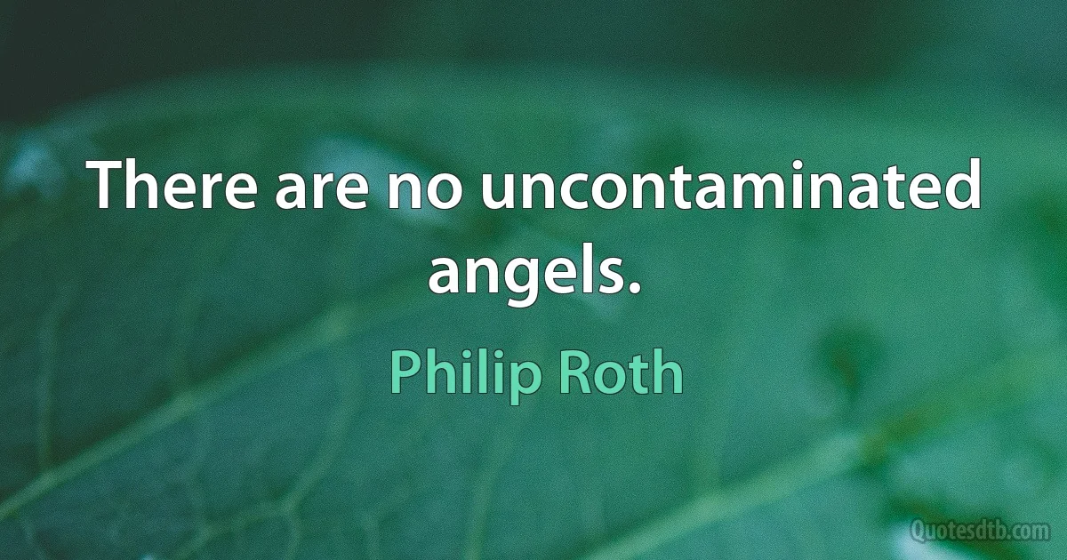 There are no uncontaminated angels. (Philip Roth)