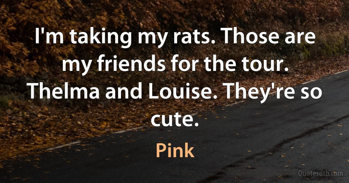 I'm taking my rats. Those are my friends for the tour. Thelma and Louise. They're so cute. (Pink)