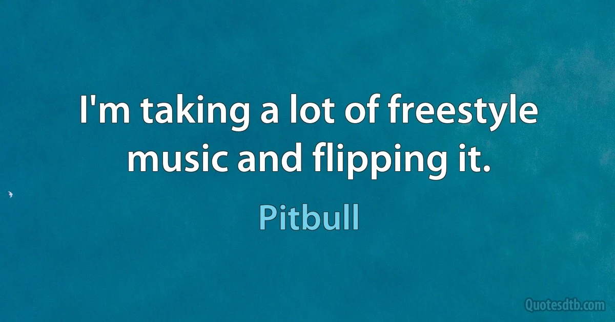 I'm taking a lot of freestyle music and flipping it. (Pitbull)