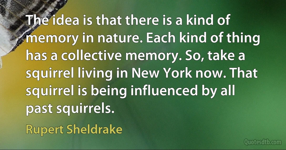 The idea is that there is a kind of memory in nature. Each kind of thing has a collective memory. So, take a squirrel living in New York now. That squirrel is being influenced by all past squirrels. (Rupert Sheldrake)