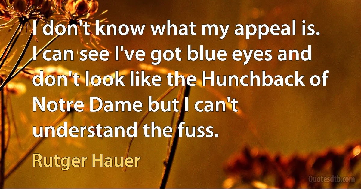 I don't know what my appeal is. I can see I've got blue eyes and don't look like the Hunchback of Notre Dame but I can't understand the fuss. (Rutger Hauer)