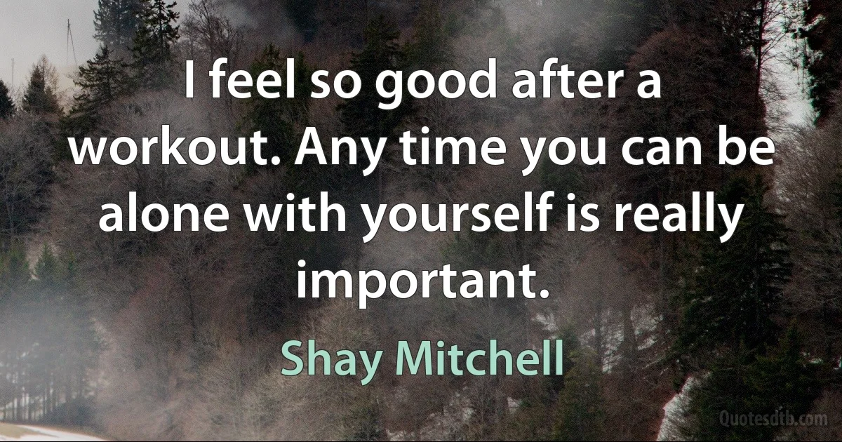 I feel so good after a workout. Any time you can be alone with yourself is really important. (Shay Mitchell)