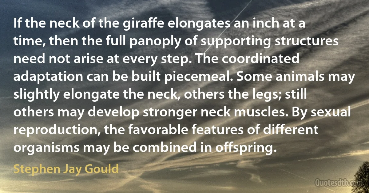 If the neck of the giraffe elongates an inch at a time, then the full panoply of supporting structures need not arise at every step. The coordinated adaptation can be built piecemeal. Some animals may slightly elongate the neck, others the legs; still others may develop stronger neck muscles. By sexual reproduction, the favorable features of different organisms may be combined in offspring. (Stephen Jay Gould)