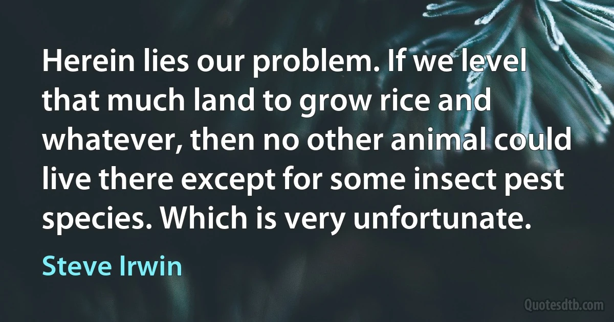 Herein lies our problem. If we level that much land to grow rice and whatever, then no other animal could live there except for some insect pest species. Which is very unfortunate. (Steve Irwin)