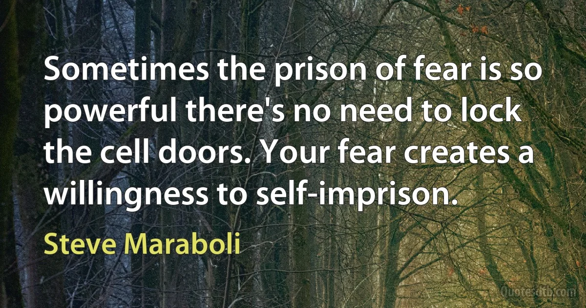 Sometimes the prison of fear is so powerful there's no need to lock the cell doors. Your fear creates a willingness to self-imprison. (Steve Maraboli)