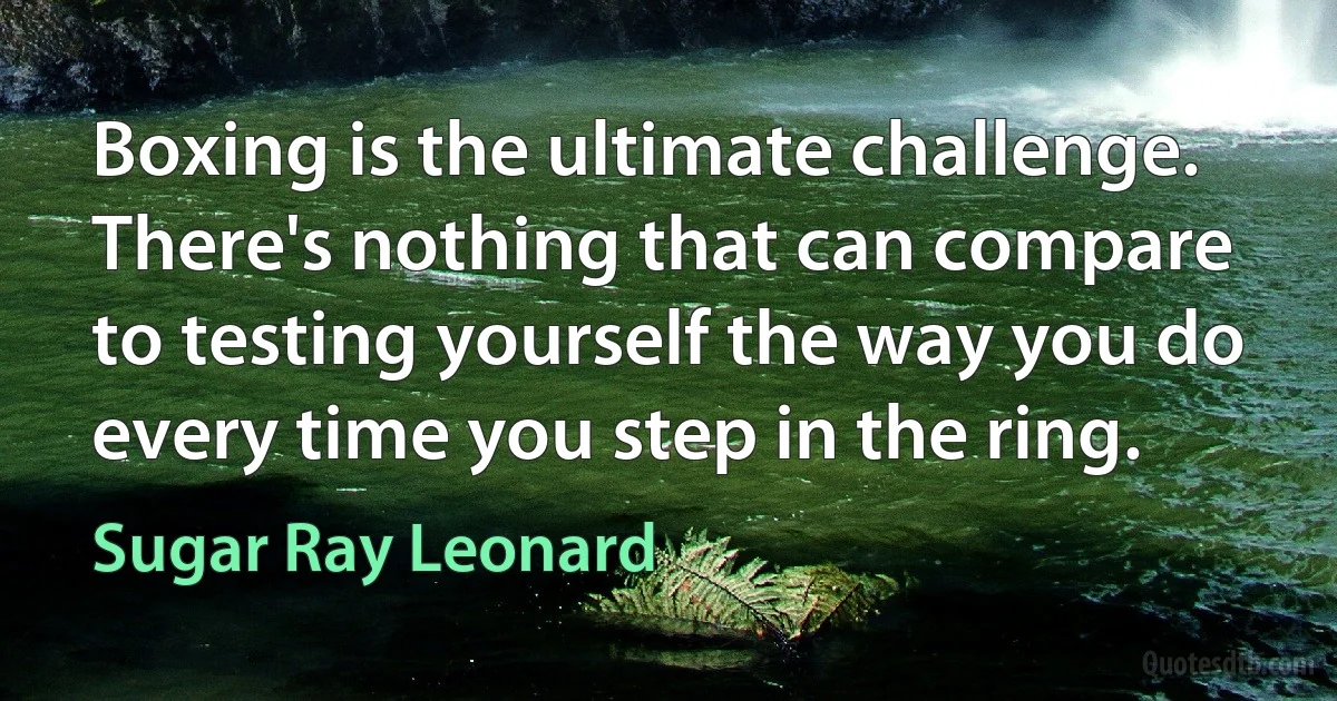 Boxing is the ultimate challenge. There's nothing that can compare to testing yourself the way you do every time you step in the ring. (Sugar Ray Leonard)