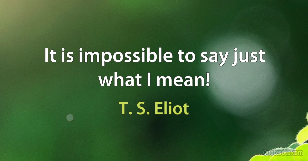 It is impossible to say just what I mean! (T. S. Eliot)