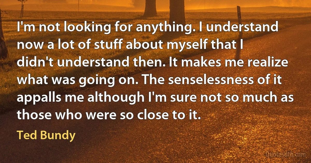 I'm not looking for anything. I understand now a lot of stuff about myself that I didn't understand then. It makes me realize what was going on. The senselessness of it appalls me although I'm sure not so much as those who were so close to it. (Ted Bundy)