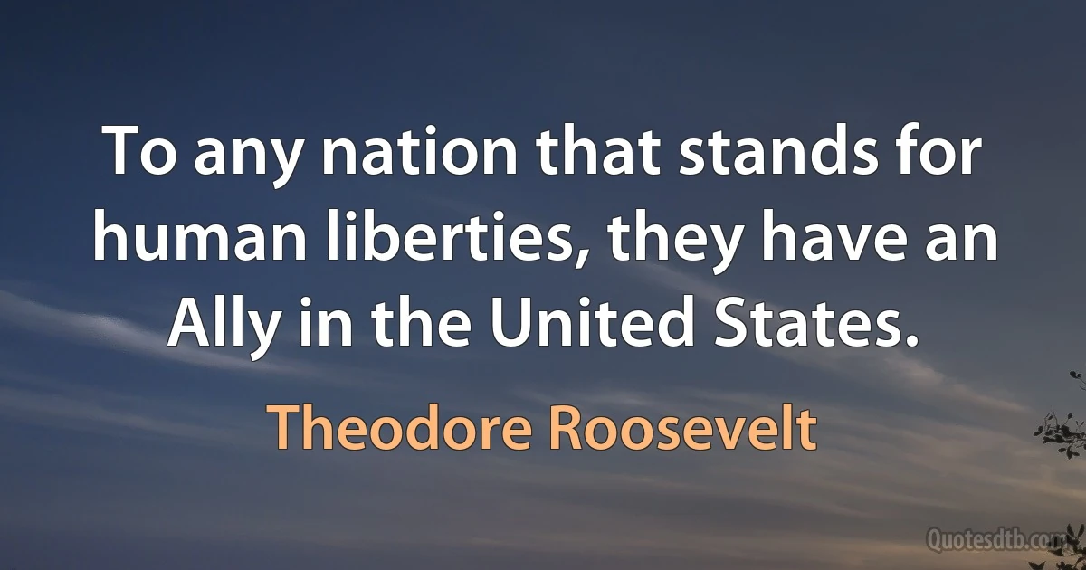 To any nation that stands for human liberties, they have an Ally in the United States. (Theodore Roosevelt)