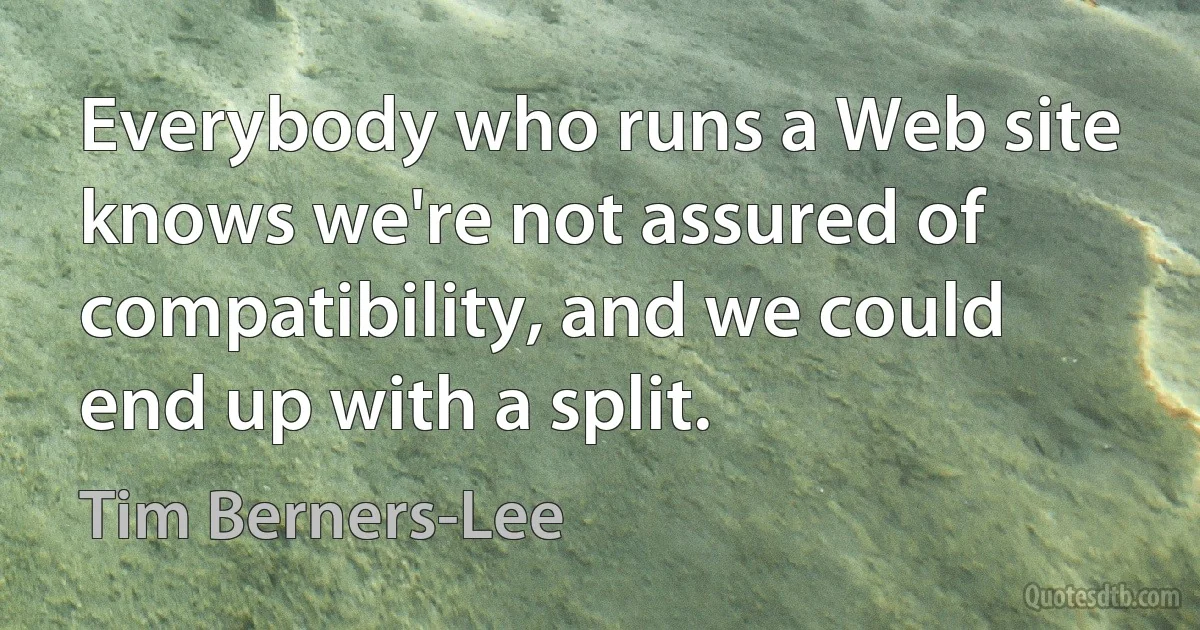 Everybody who runs a Web site knows we're not assured of compatibility, and we could end up with a split. (Tim Berners-Lee)