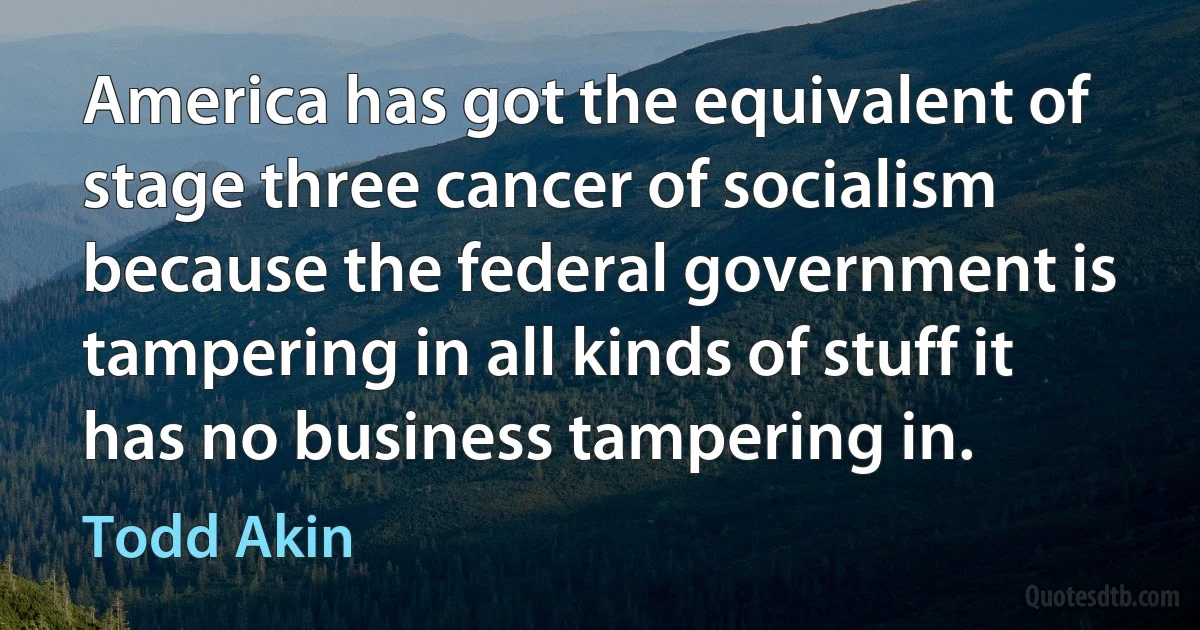 America has got the equivalent of stage three cancer of socialism because the federal government is tampering in all kinds of stuff it has no business tampering in. (Todd Akin)