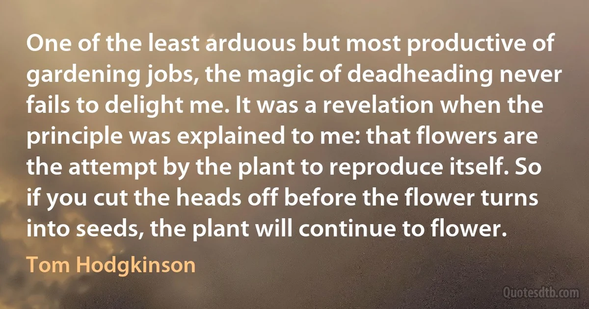 One of the least arduous but most productive of gardening jobs, the magic of deadheading never fails to delight me. It was a revelation when the principle was explained to me: that flowers are the attempt by the plant to reproduce itself. So if you cut the heads off before the flower turns into seeds, the plant will continue to flower. (Tom Hodgkinson)