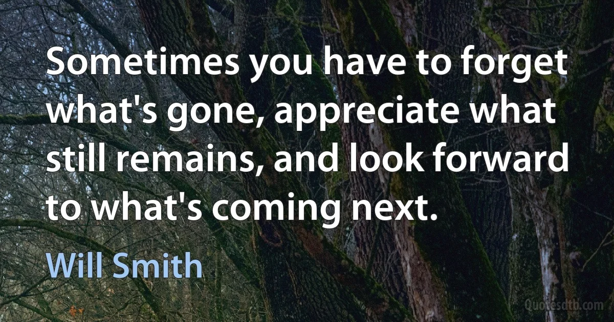 Sometimes you have to forget what's gone, appreciate what still remains, and look forward to what's coming next. (Will Smith)