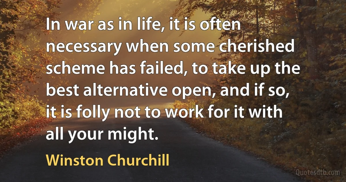 In war as in life, it is often necessary when some cherished scheme has failed, to take up the best alternative open, and if so, it is folly not to work for it with all your might. (Winston Churchill)