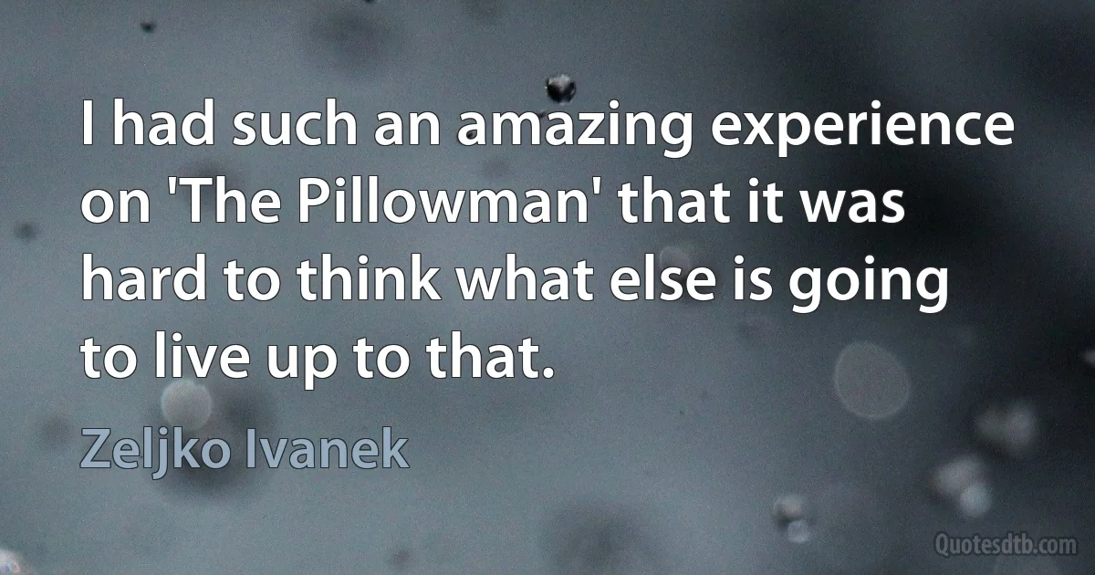 I had such an amazing experience on 'The Pillowman' that it was hard to think what else is going to live up to that. (Zeljko Ivanek)