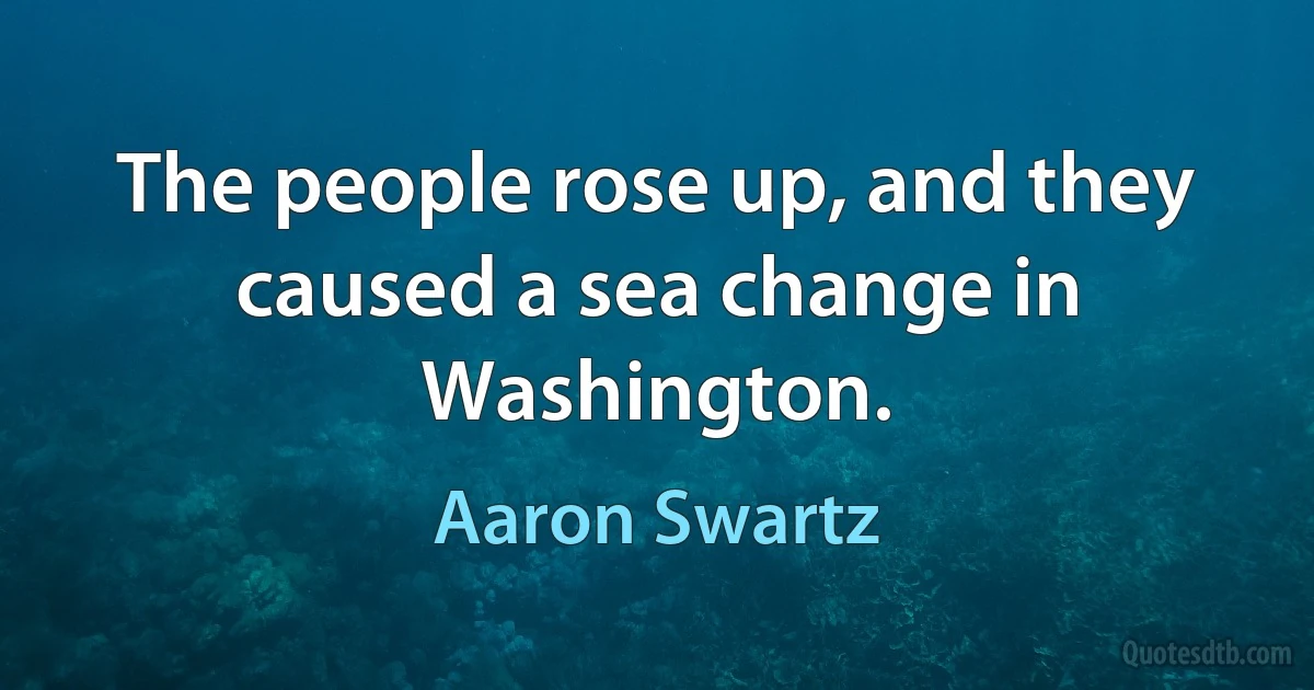 The people rose up, and they caused a sea change in Washington. (Aaron Swartz)