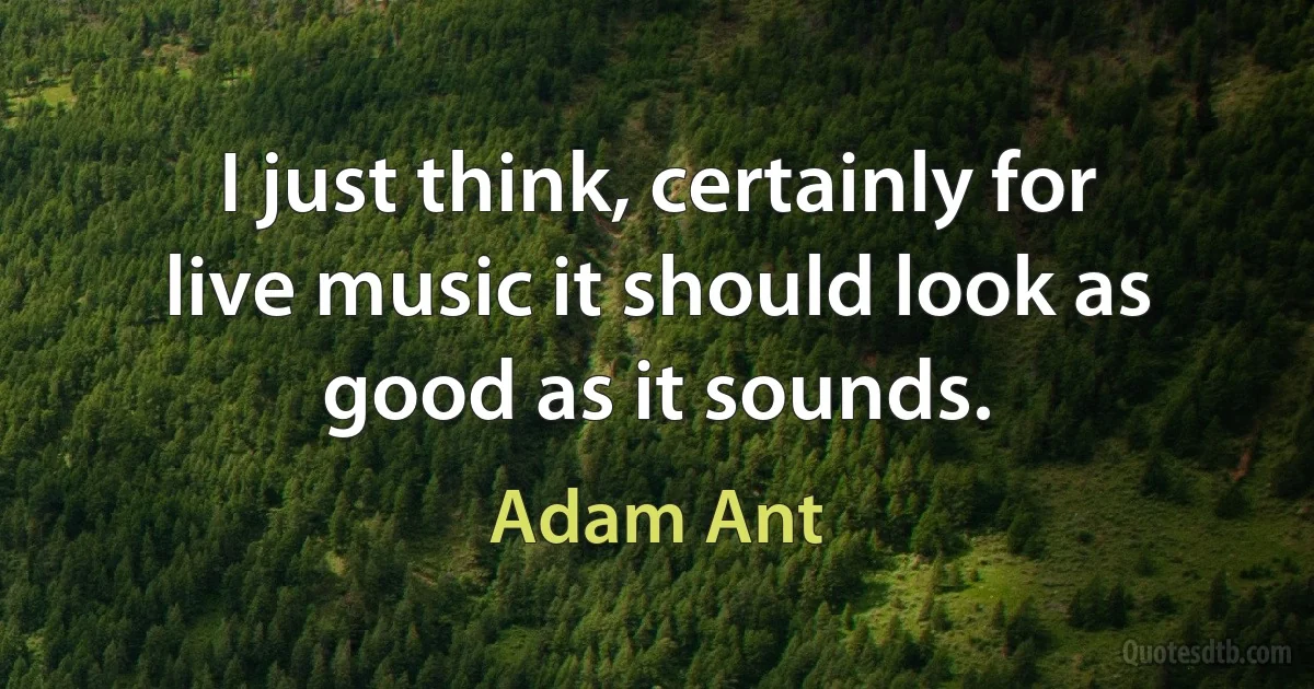 I just think, certainly for live music it should look as good as it sounds. (Adam Ant)