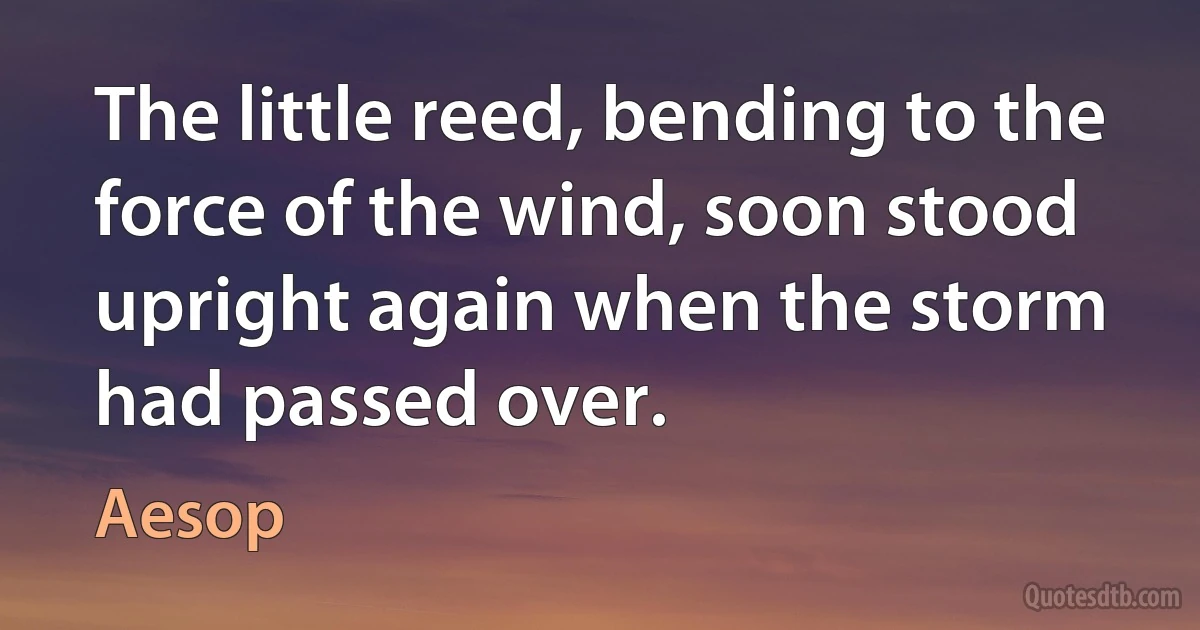 The little reed, bending to the force of the wind, soon stood upright again when the storm had passed over. (Aesop)