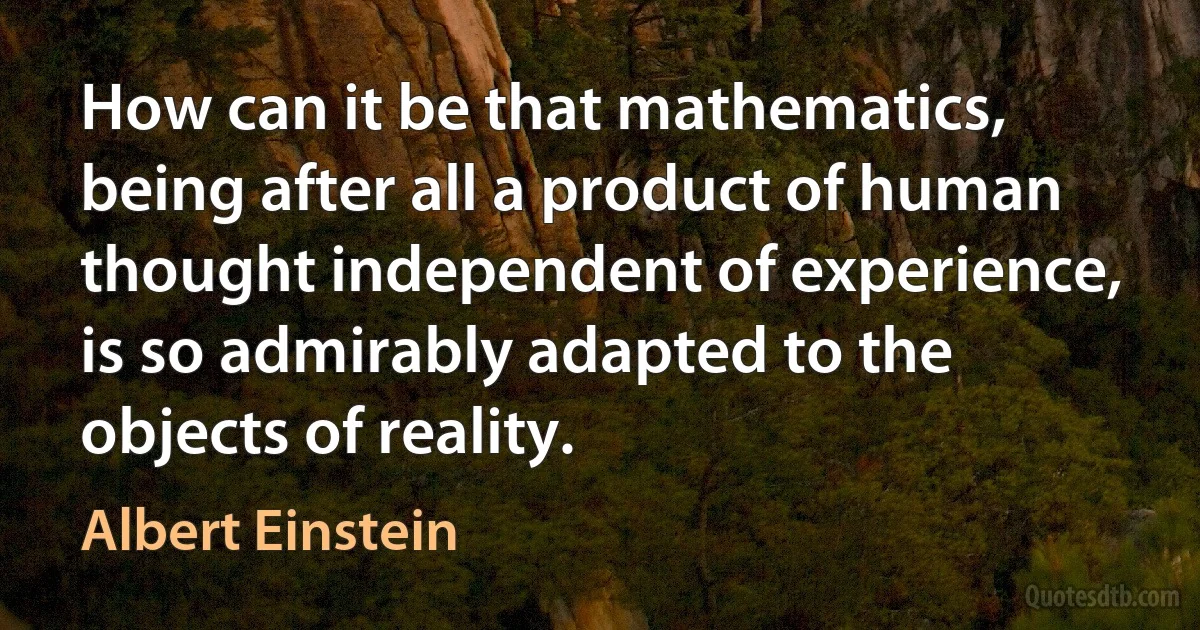 How can it be that mathematics, being after all a product of human thought independent of experience, is so admirably adapted to the objects of reality. (Albert Einstein)