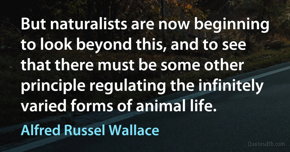 But naturalists are now beginning to look beyond this, and to see that there must be some other principle regulating the infinitely varied forms of animal life. (Alfred Russel Wallace)