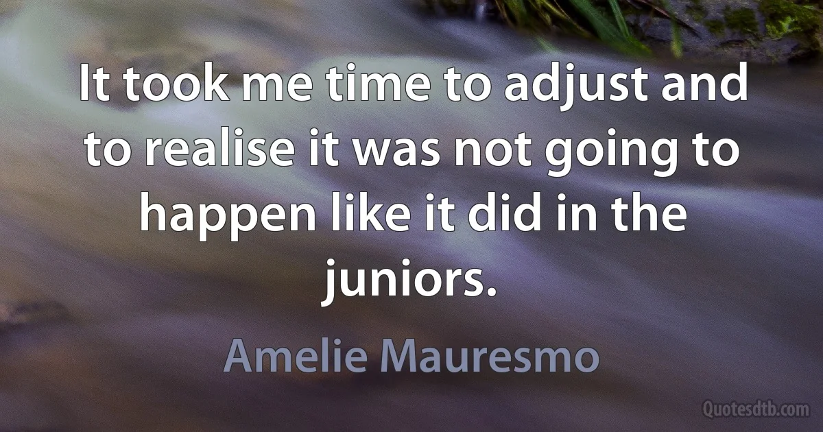 It took me time to adjust and to realise it was not going to happen like it did in the juniors. (Amelie Mauresmo)