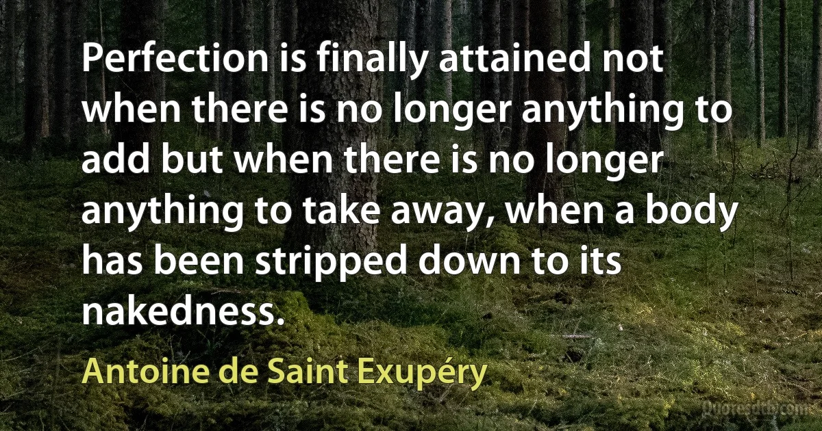 Perfection is finally attained not when there is no longer anything to add but when there is no longer anything to take away, when a body has been stripped down to its nakedness. (Antoine de Saint Exupéry)