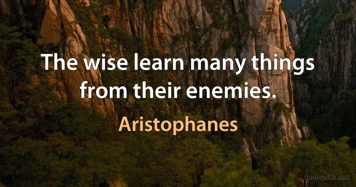 The wise learn many things from their enemies. (Aristophanes)