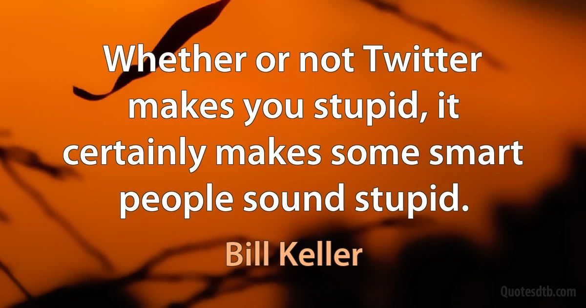 Whether or not Twitter makes you stupid, it certainly makes some smart people sound stupid. (Bill Keller)