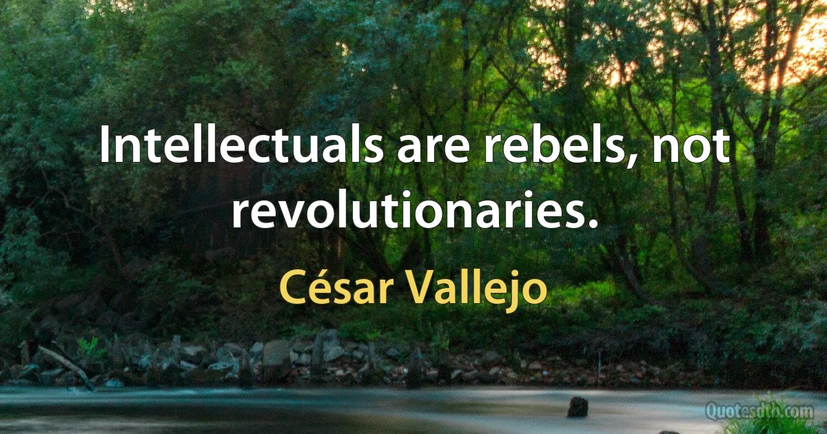 Intellectuals are rebels, not revolutionaries. (César Vallejo)