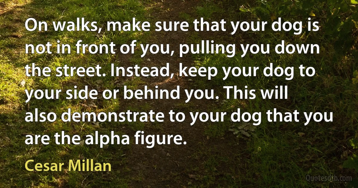 On walks, make sure that your dog is not in front of you, pulling you down the street. Instead, keep your dog to your side or behind you. This will also demonstrate to your dog that you are the alpha figure. (Cesar Millan)