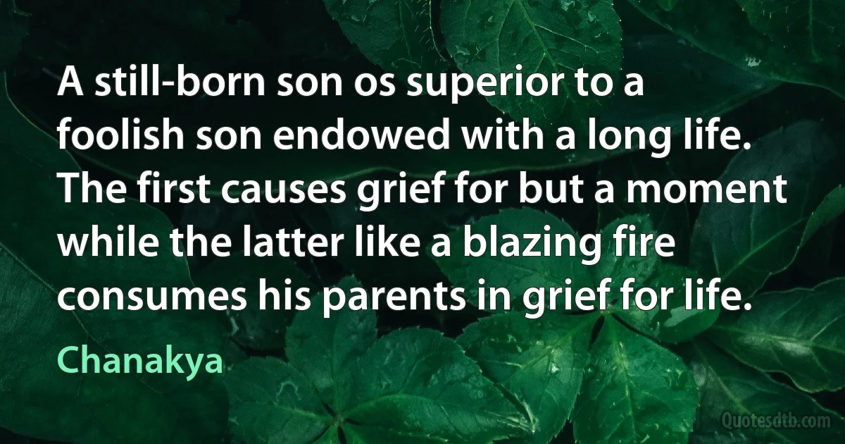 A still-born son os superior to a foolish son endowed with a long life. The first causes grief for but a moment while the latter like a blazing fire consumes his parents in grief for life. (Chanakya)