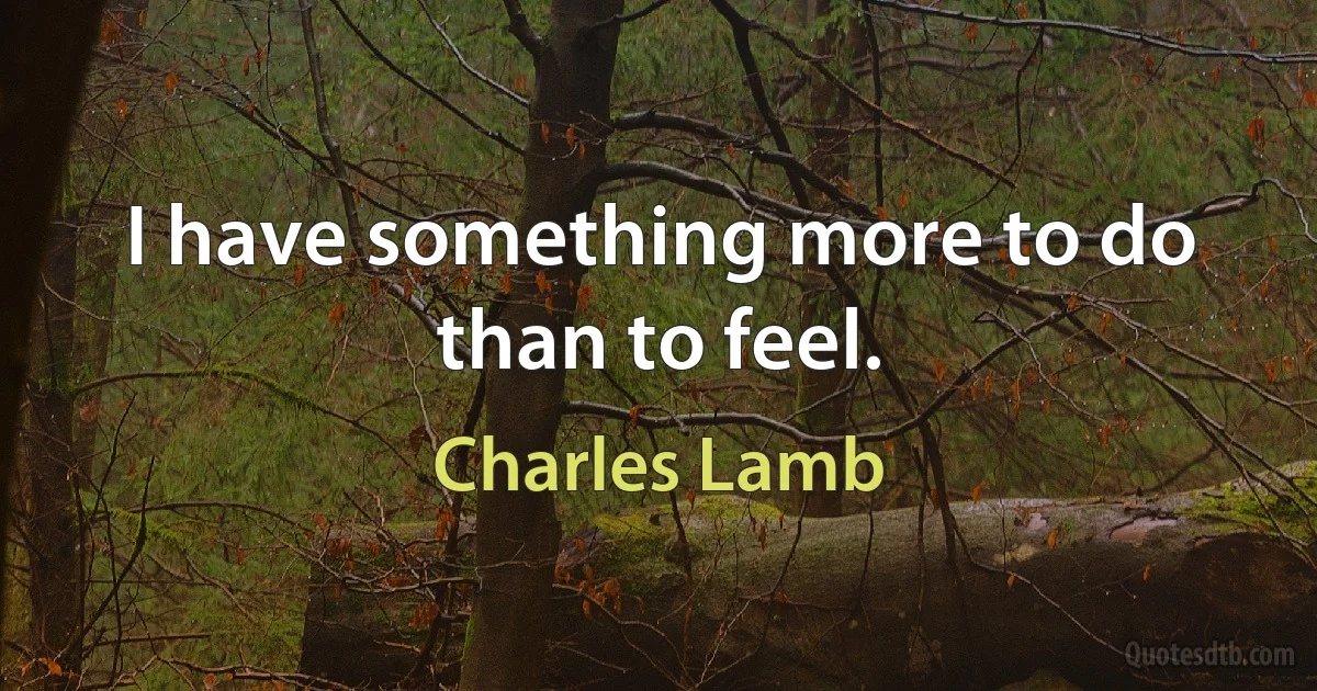 I have something more to do than to feel. (Charles Lamb)