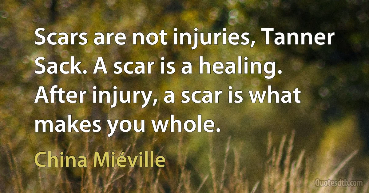 Scars are not injuries, Tanner Sack. A scar is a healing. After injury, a scar is what makes you whole. (China Miéville)