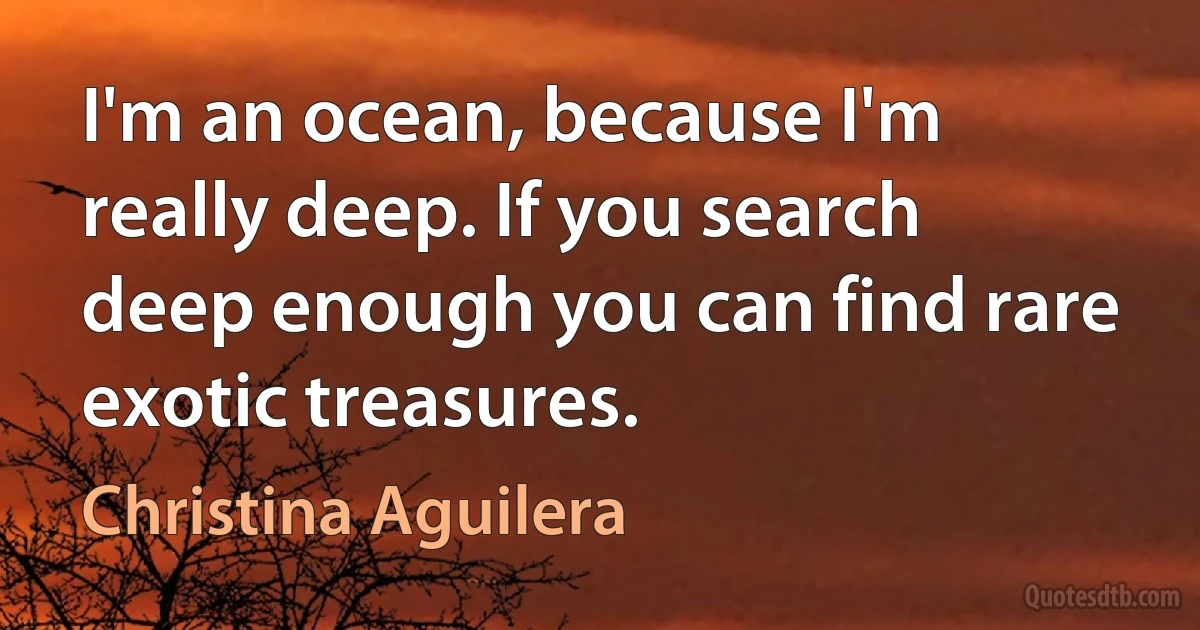 I'm an ocean, because I'm really deep. If you search deep enough you can find rare exotic treasures. (Christina Aguilera)