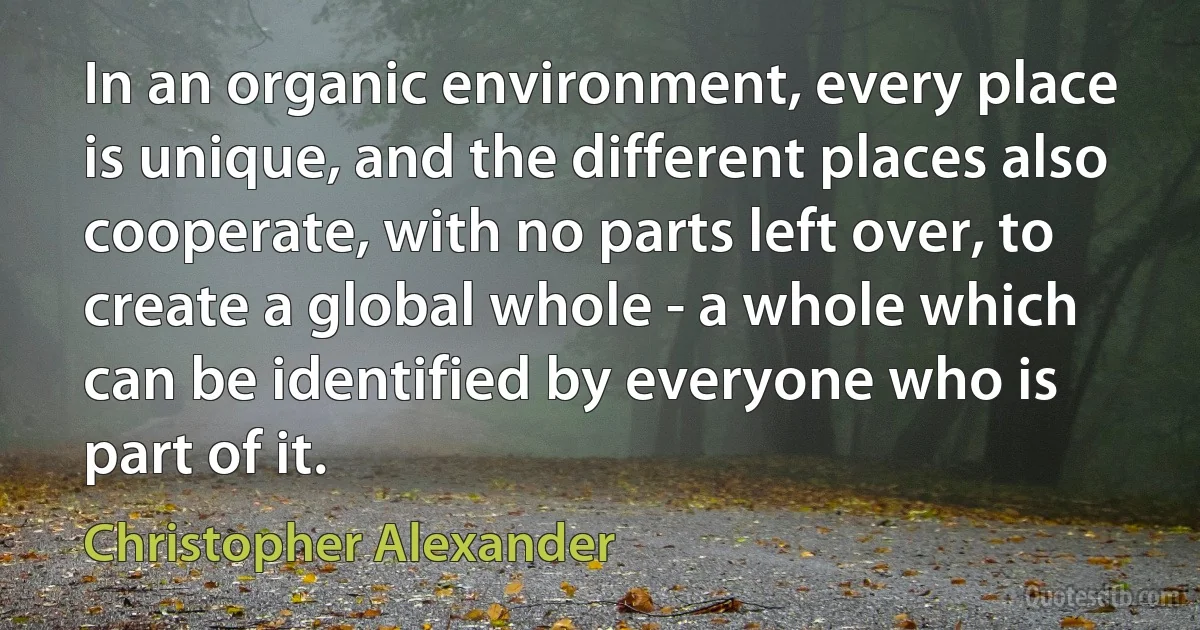 In an organic environment, every place is unique, and the different places also cooperate, with no parts left over, to create a global whole - a whole which can be identified by everyone who is part of it. (Christopher Alexander)