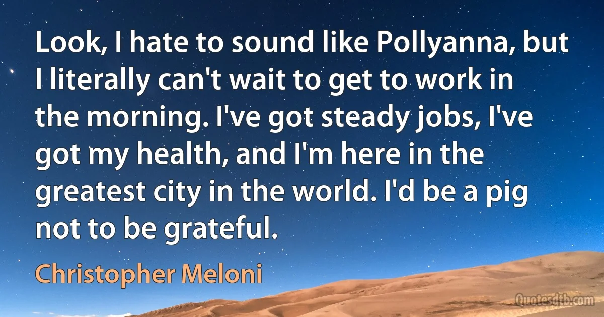 Look, I hate to sound like Pollyanna, but I literally can't wait to get to work in the morning. I've got steady jobs, I've got my health, and I'm here in the greatest city in the world. I'd be a pig not to be grateful. (Christopher Meloni)