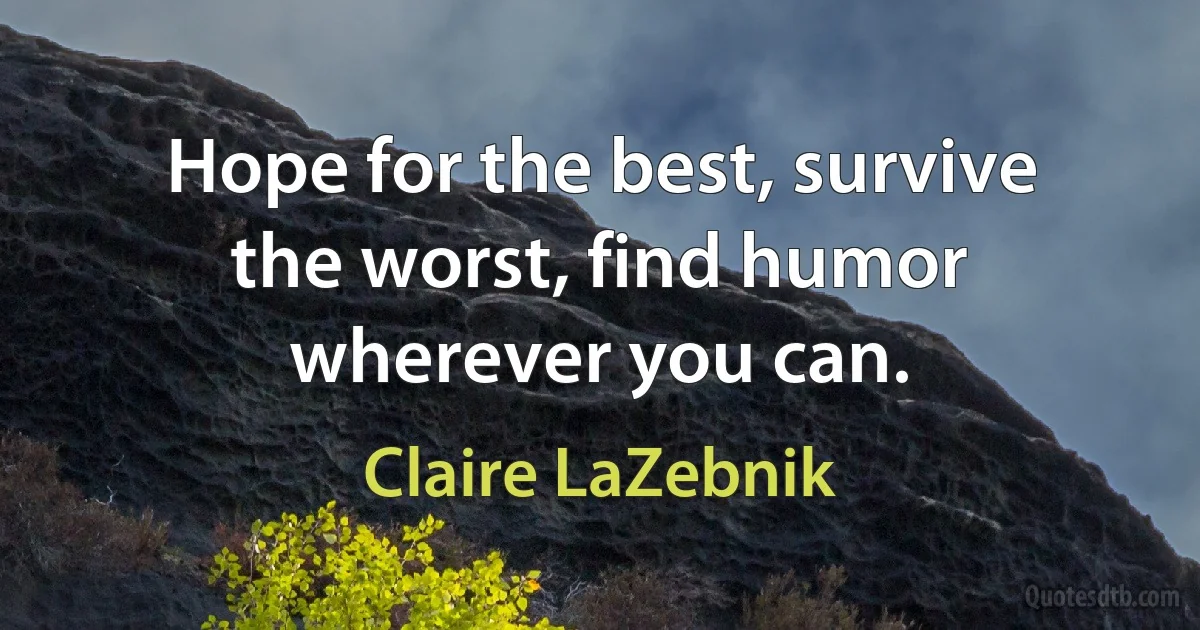 Hope for the best, survive the worst, find humor wherever you can. (Claire LaZebnik)