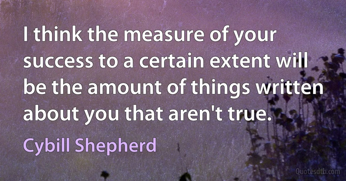 I think the measure of your success to a certain extent will be the amount of things written about you that aren't true. (Cybill Shepherd)