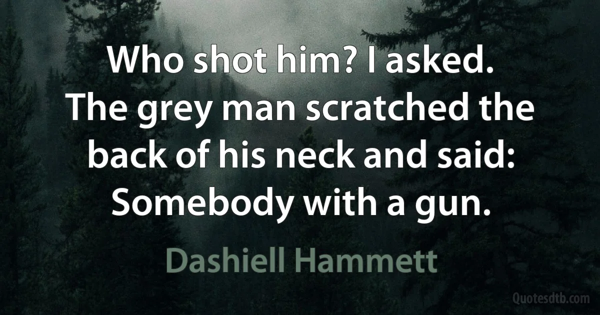 Who shot him? I asked.
The grey man scratched the back of his neck and said: Somebody with a gun. (Dashiell Hammett)