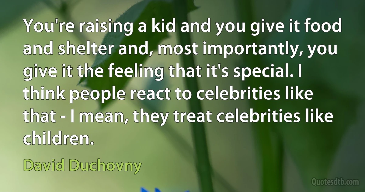 You're raising a kid and you give it food and shelter and, most importantly, you give it the feeling that it's special. I think people react to celebrities like that - I mean, they treat celebrities like children. (David Duchovny)