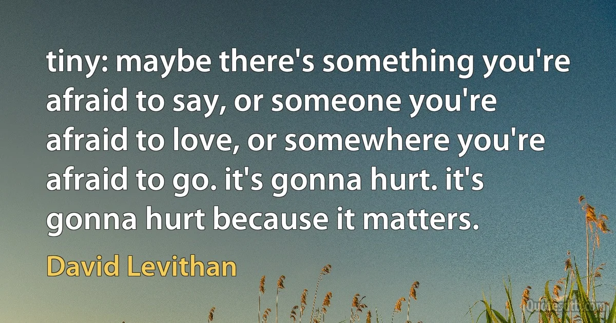 tiny: maybe there's something you're afraid to say, or someone you're afraid to love, or somewhere you're afraid to go. it's gonna hurt. it's gonna hurt because it matters. (David Levithan)