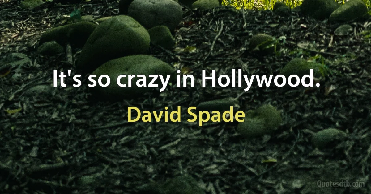 It's so crazy in Hollywood. (David Spade)